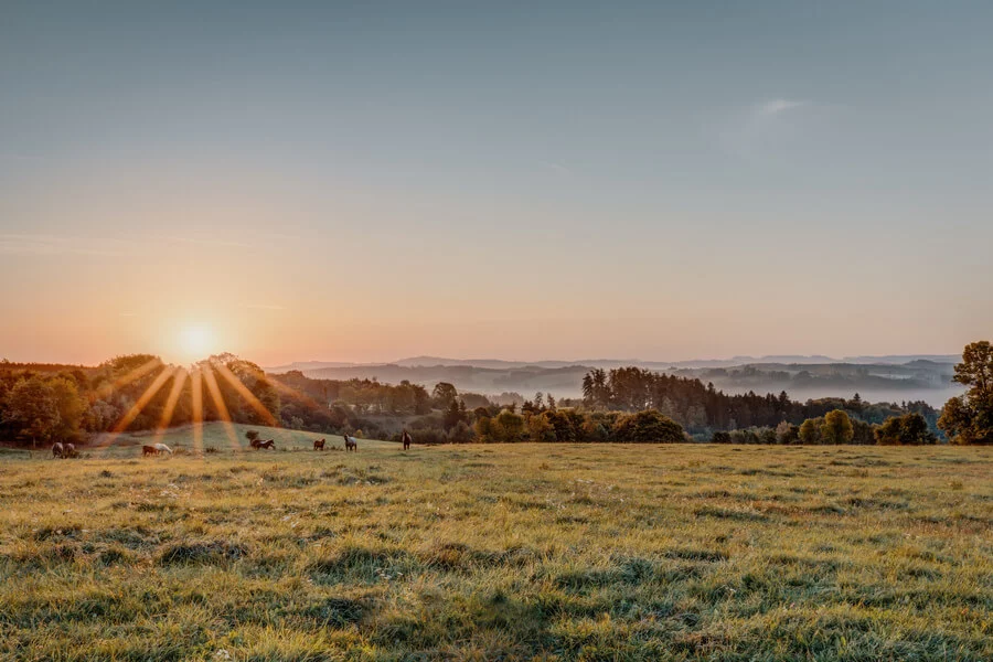 All inclusive wellness pobyt v Krkonoších s vyjížďkou na koni